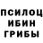 Галлюциногенные грибы прущие грибы Denis Starkin