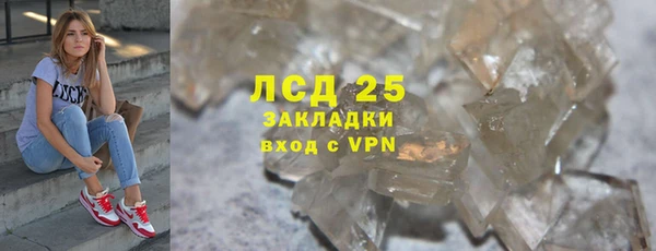 прущие грибы Домодедово