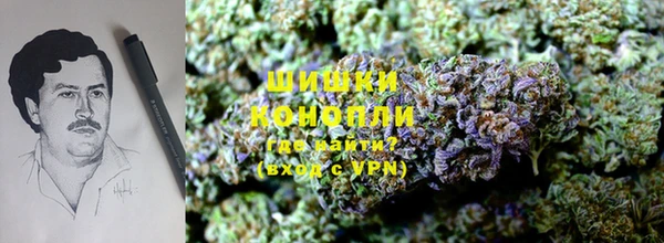МДПВ Верхний Тагил