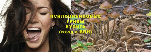 МДПВ Верхний Тагил